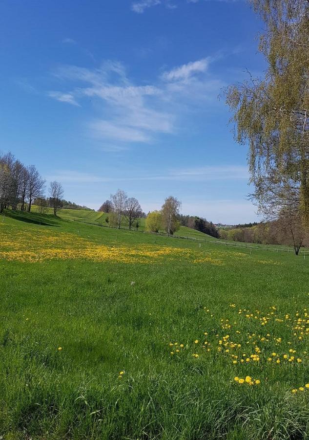 Ferienhaus Polly Rabenau Zewnętrze zdjęcie